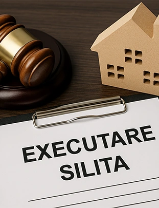 executari-silite